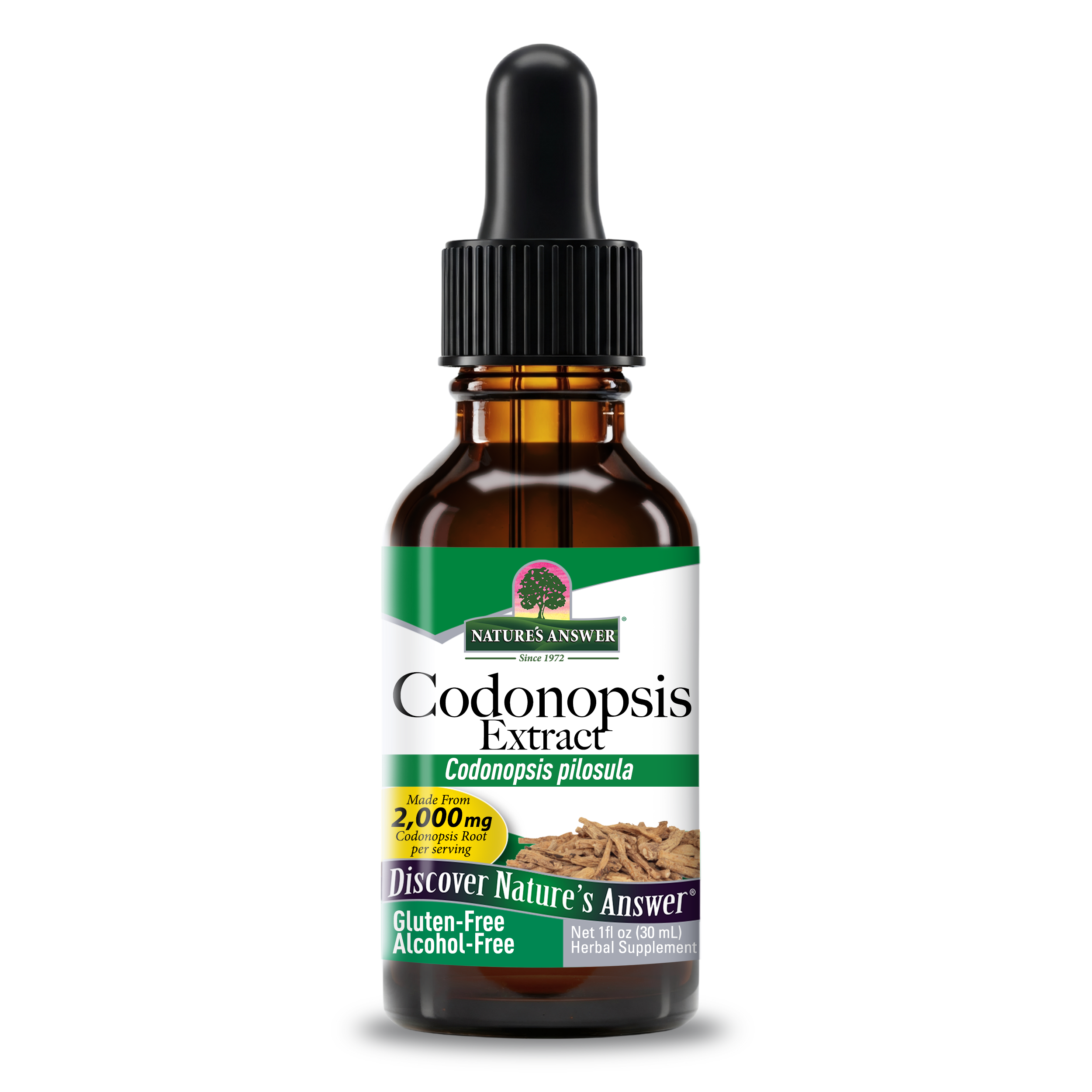 Codonopsis Extract - Alcohol Free Liquid