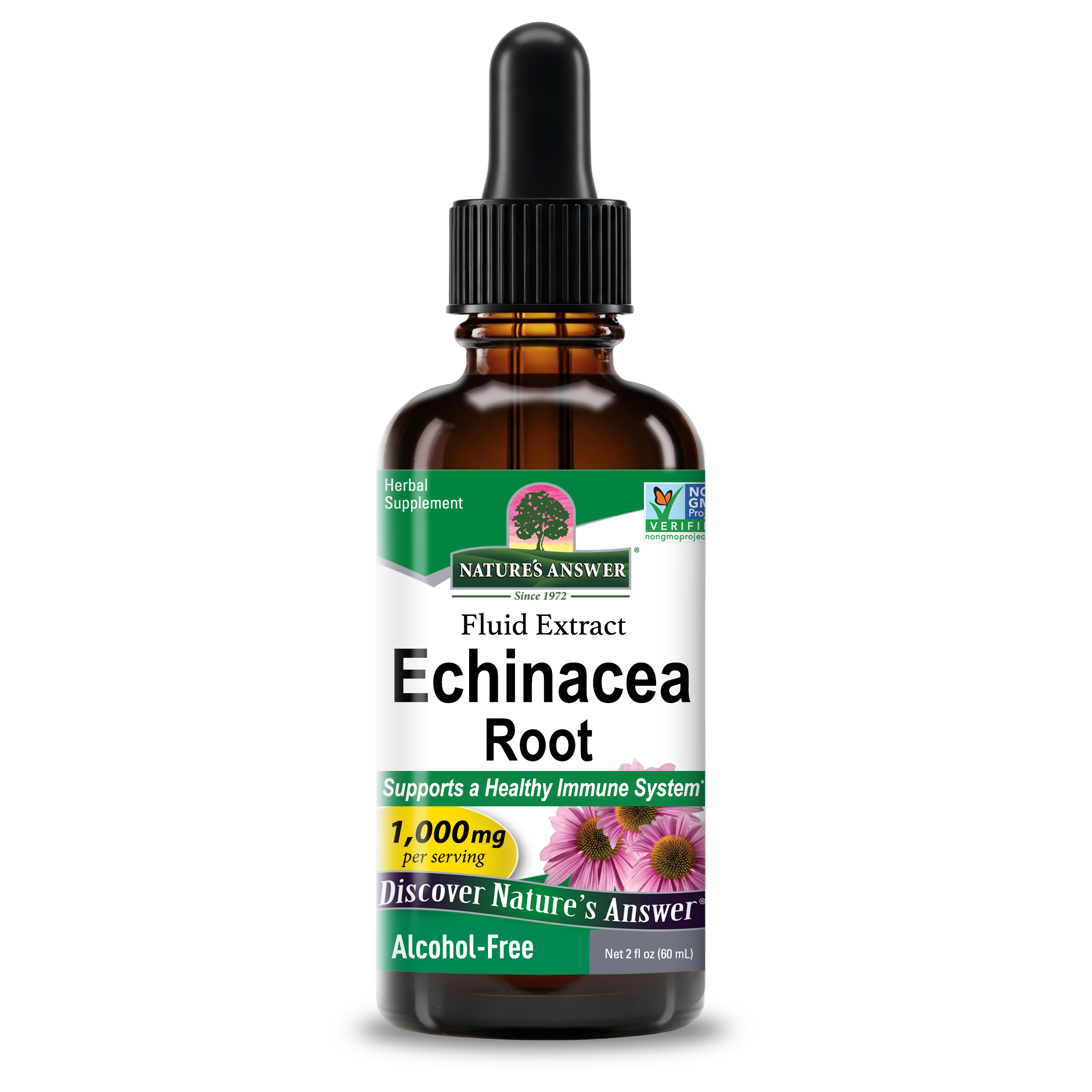 Echinacea Extract - Alcohol Free Liquid