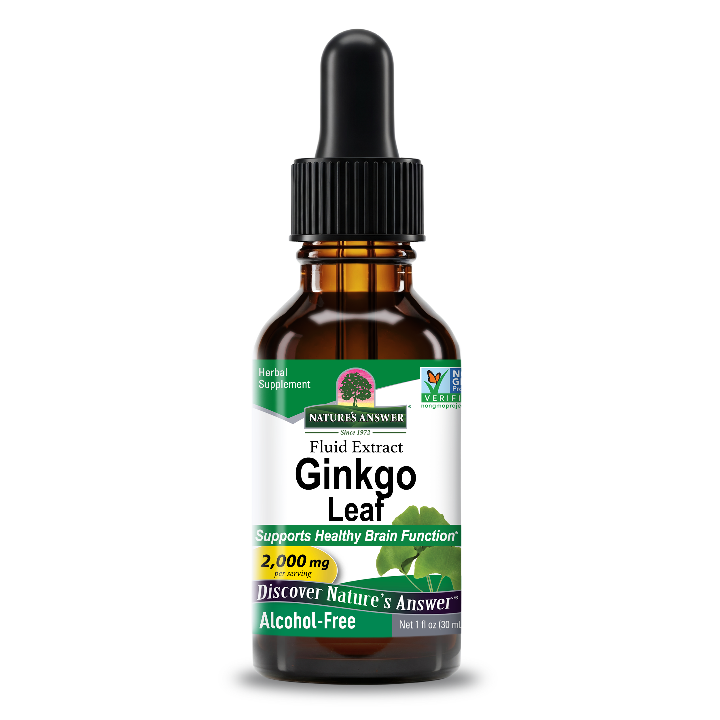Ginkgo Leaf Extract - Alcohol Free Liquid