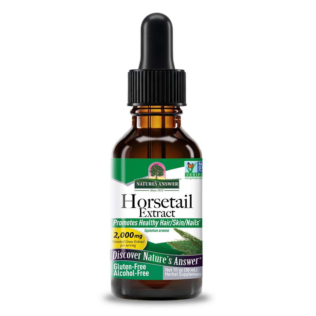 Horsetail Extract - Alcohol Free Liquid