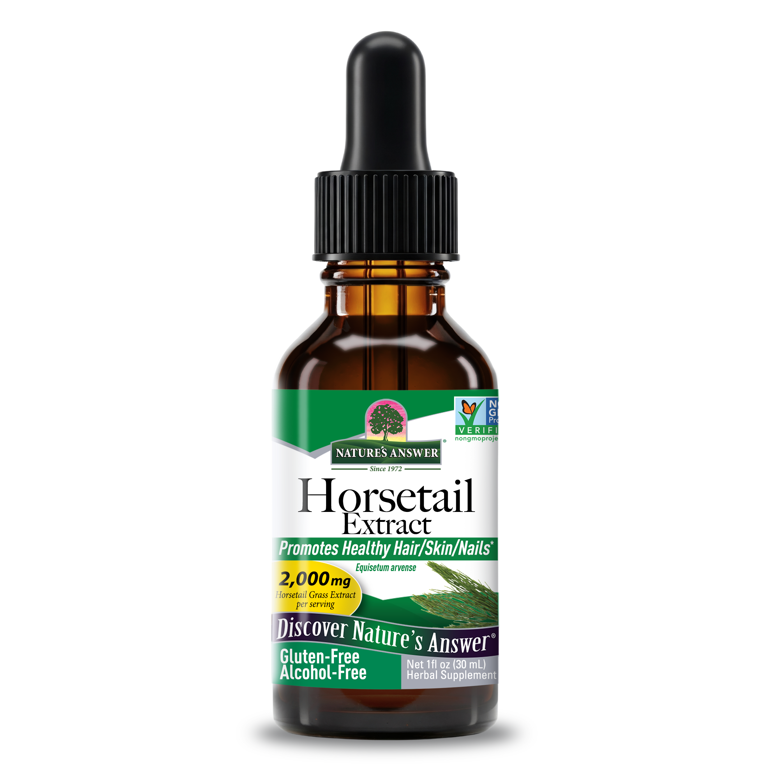 Horsetail Extract - Alcohol Free Liquid