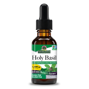 Holy Basil - Alcohol Free Liquid