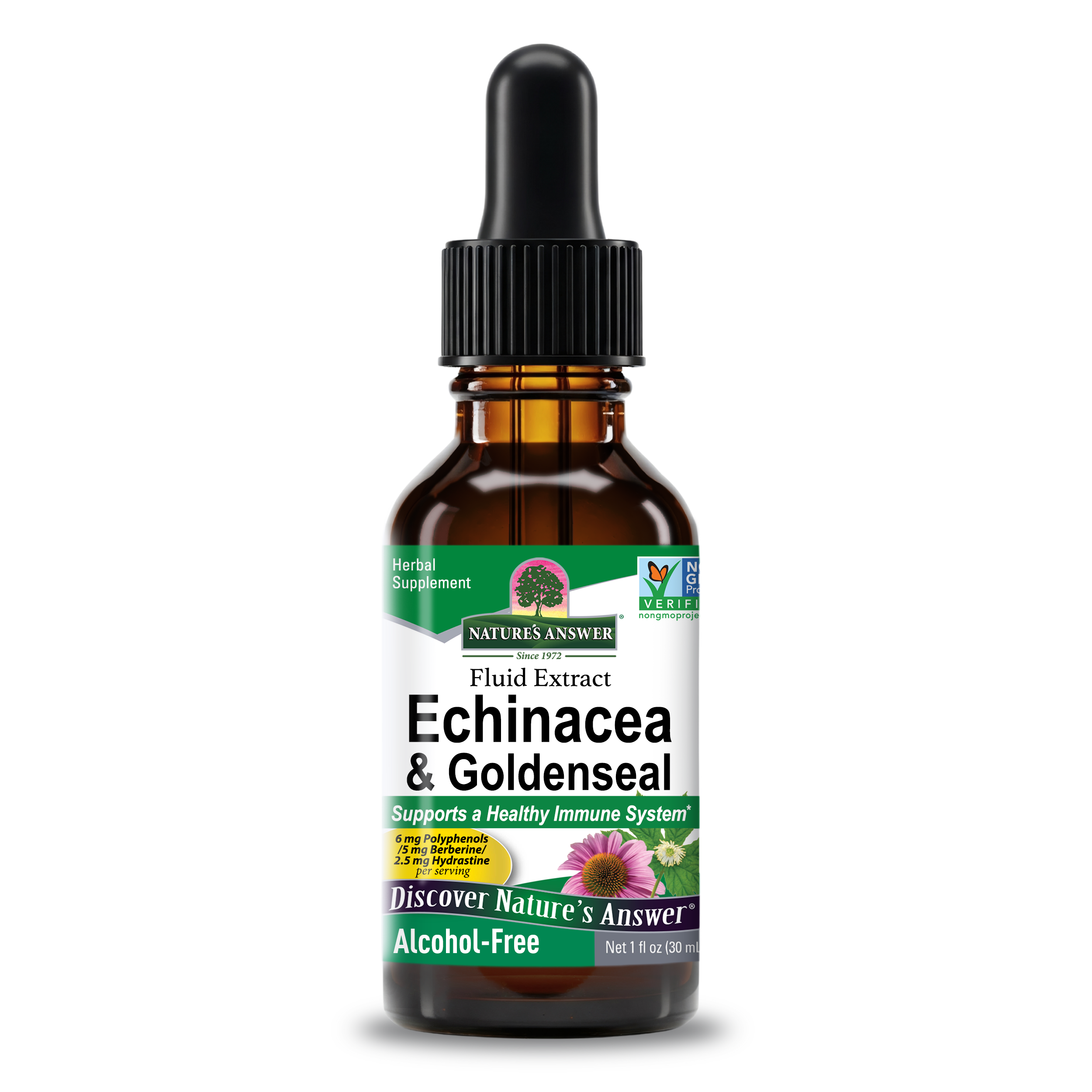 Echinacea & Goldenseal Extract - Alcohol Free Liquid