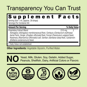 Bitters & Ginger Extract - Alcohol Free Liquid