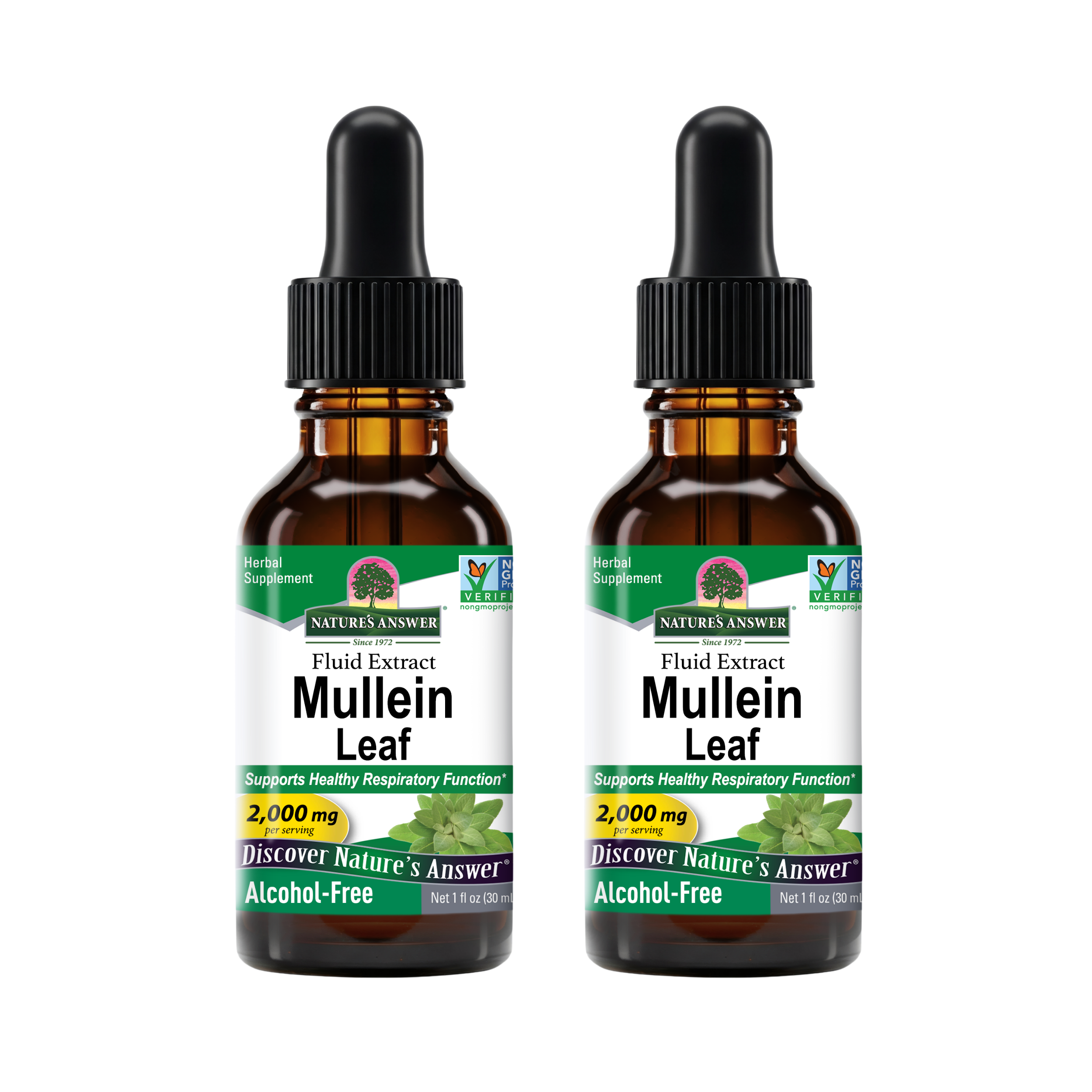 Mullein Extract - Alcohol Free Liquid