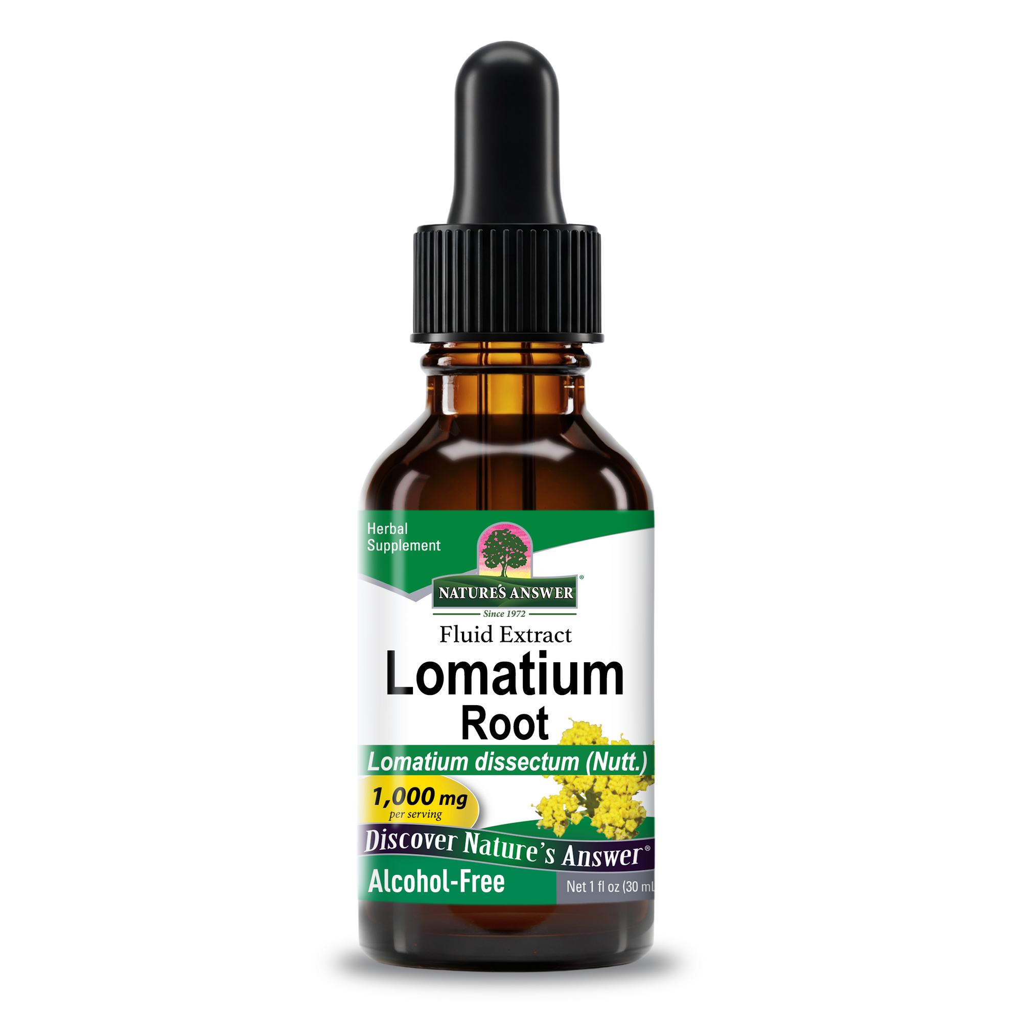 Lomatium Extract - Alcohol Free Liquid