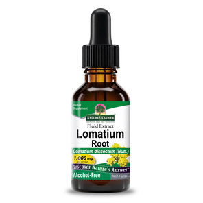 Lomatium Extract - Alcohol Free Liquid