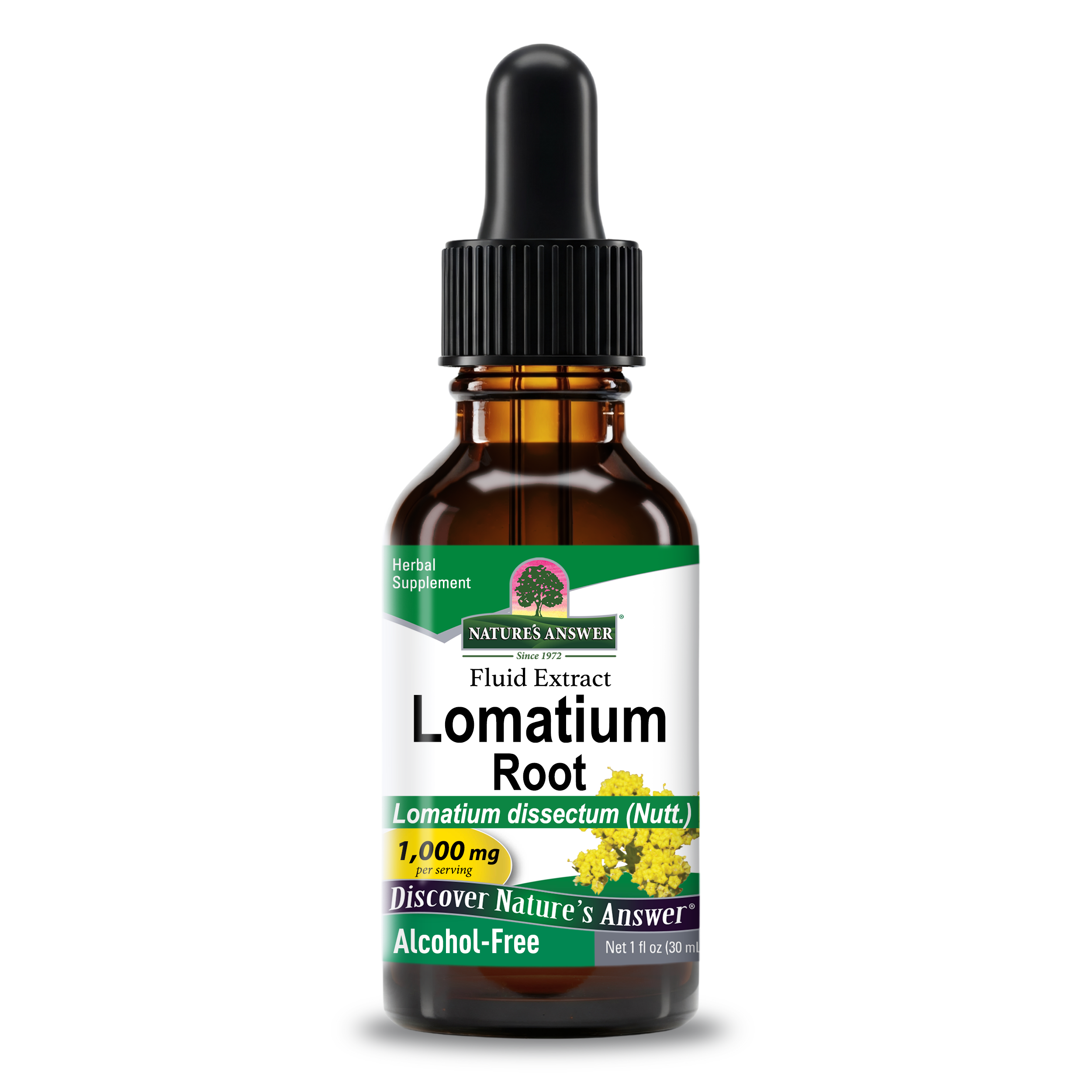 Lomatium Extract - Alcohol Free Liquid