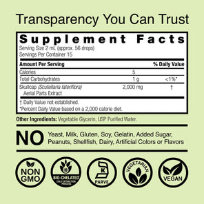 Skullcap Extract - Alcohol Free Liquid