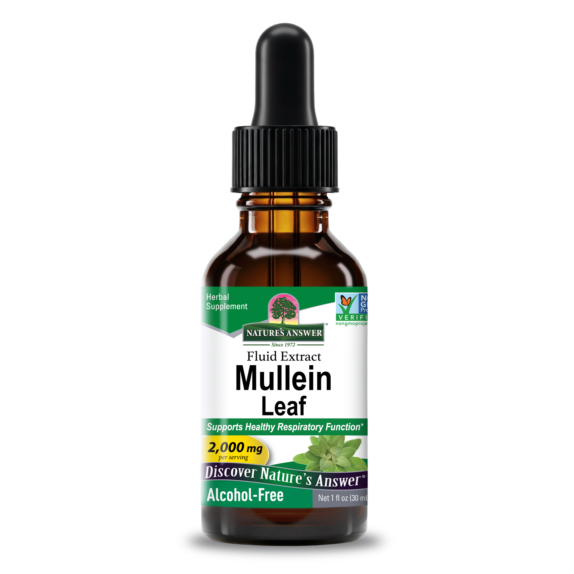 Mullein Extract — Alcohol-Free Liquid