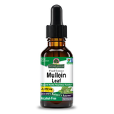 Mullein Extract - Alcohol Free Liquid
