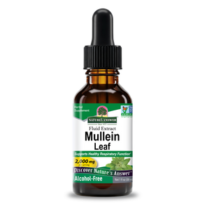 Mullein Extract - Alcohol Free Liquid