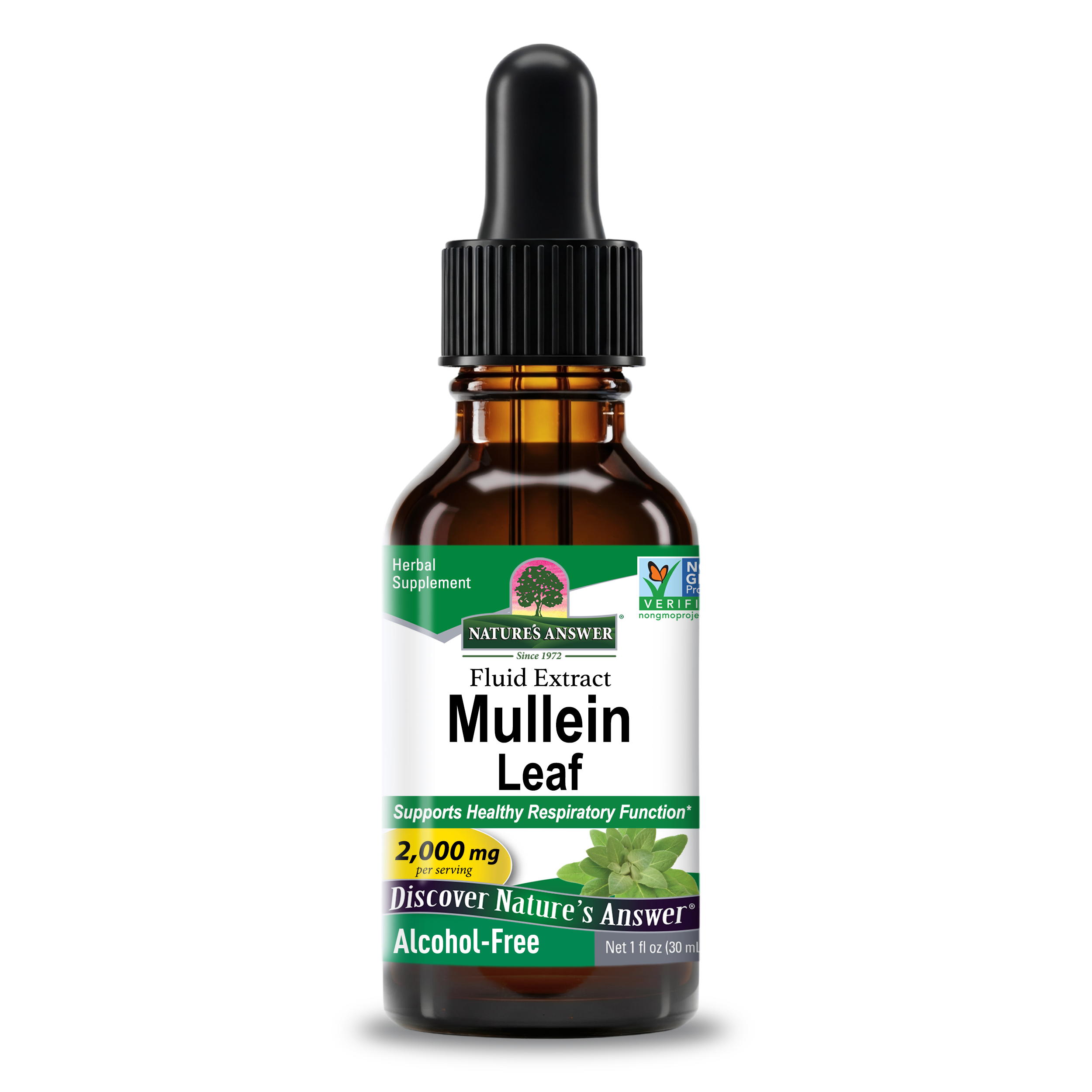 Mullein Extract - Alcohol Free Liquid