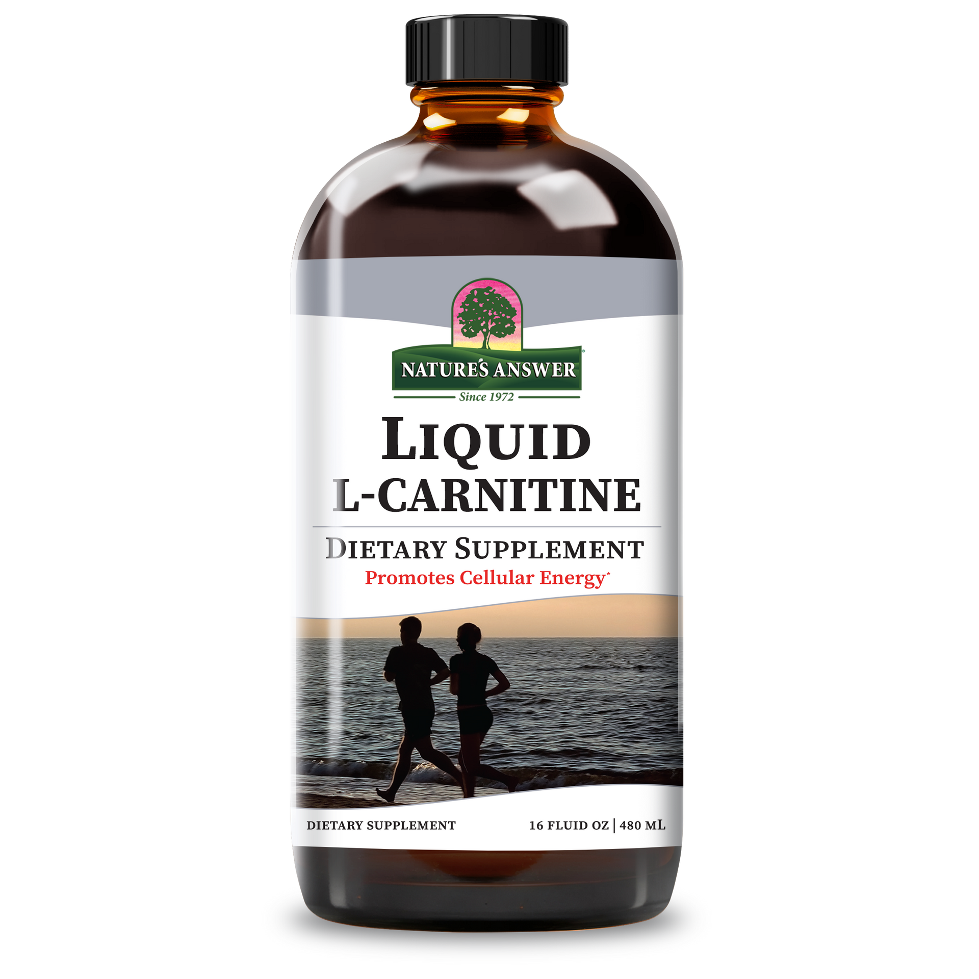 L-Carnitine | Nature's Answer L-Carnitine | Nature's Answer
