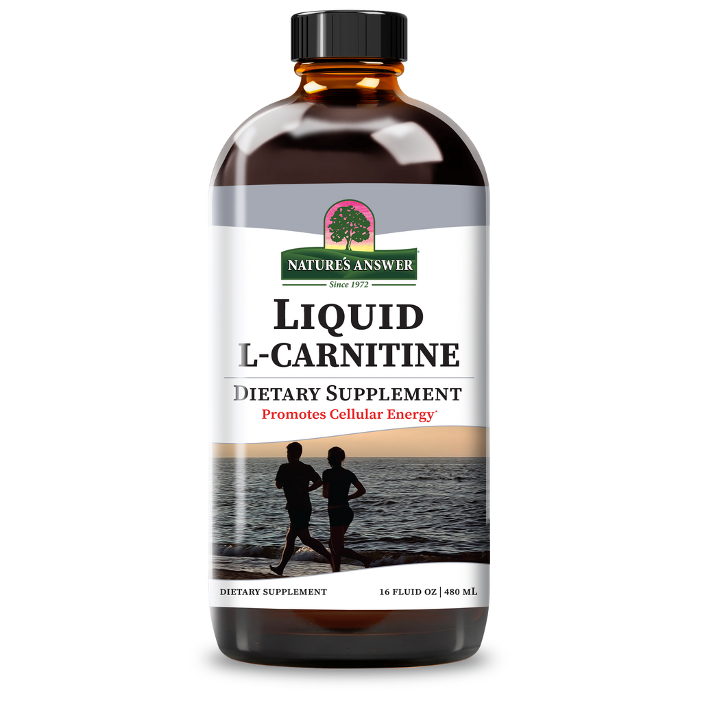 L-Carnitine 1200 - Alcohol Free Liquid