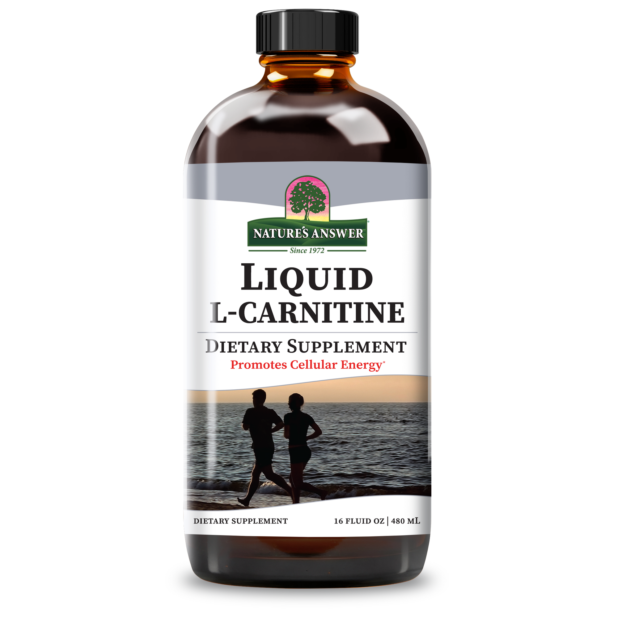 L-Carnitine 1200 - Alcohol Free Liquid