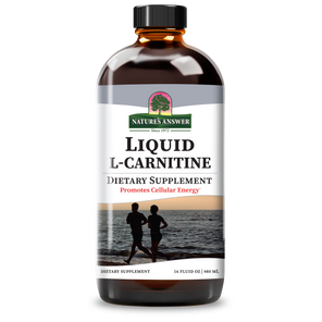 L-Carnitine 1200 - Alcohol Free Liquid