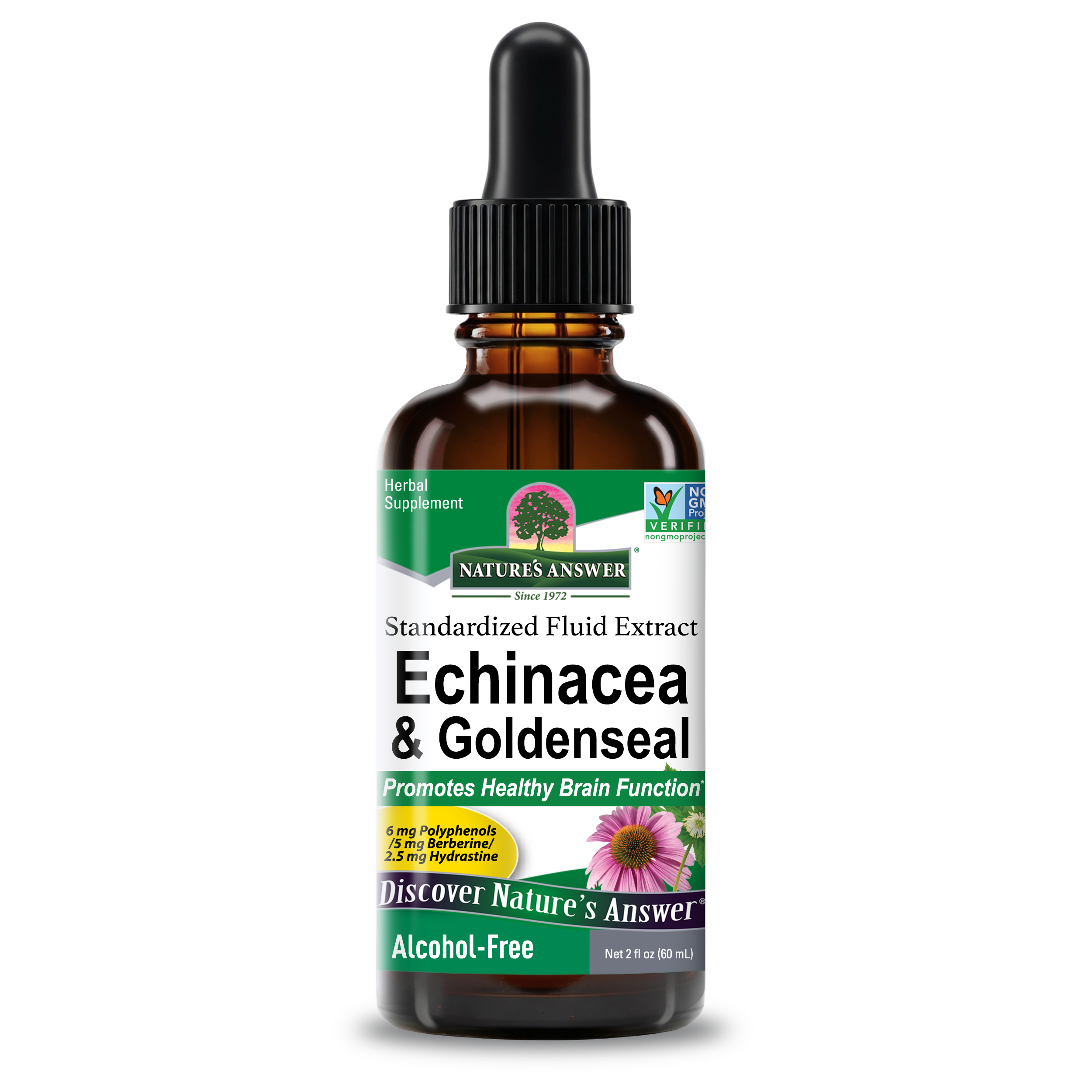 Echinacea & Goldenseal Extract - Alcohol Free Liquid