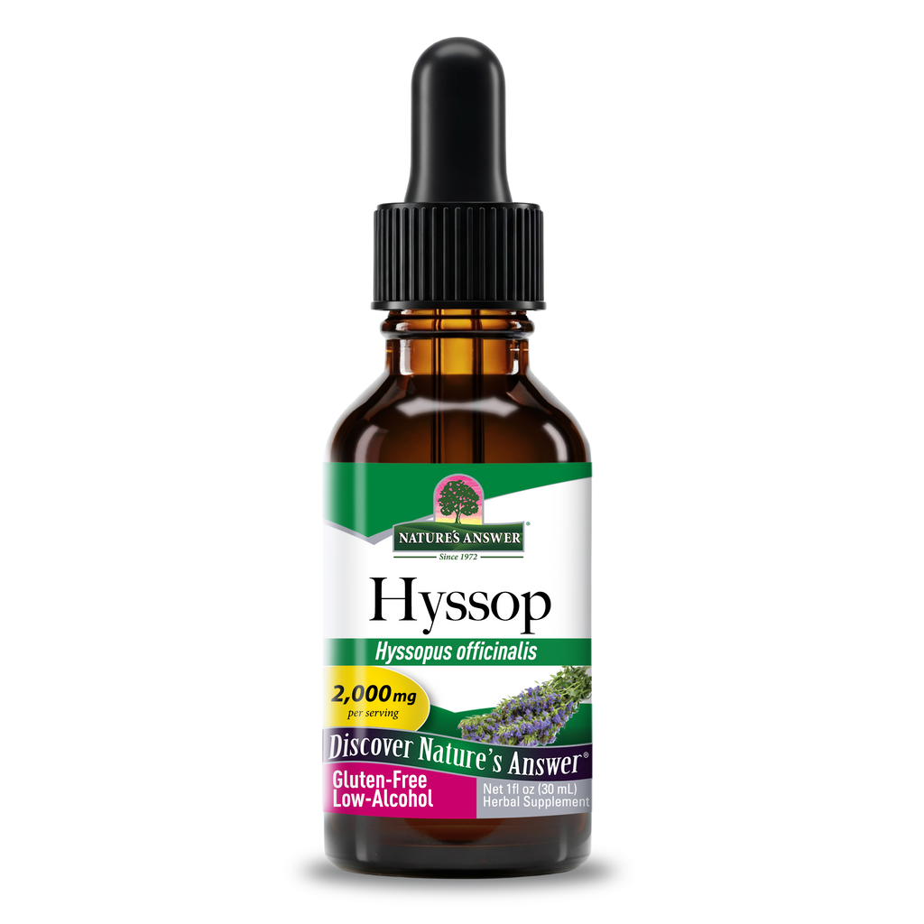Hyssop Extract - Low Alcohol Liquid