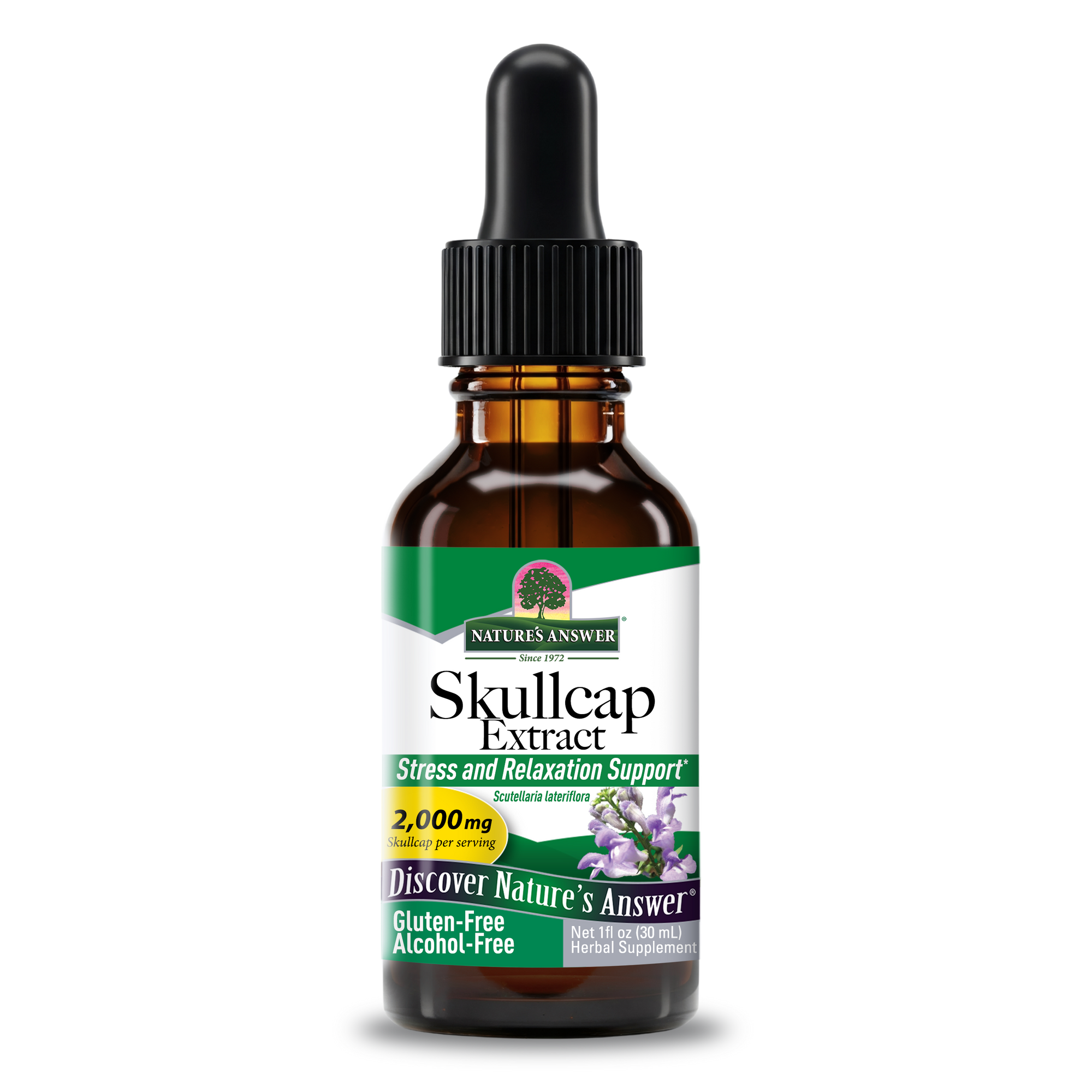 Skullcap Extract - Alcohol Free Liquid