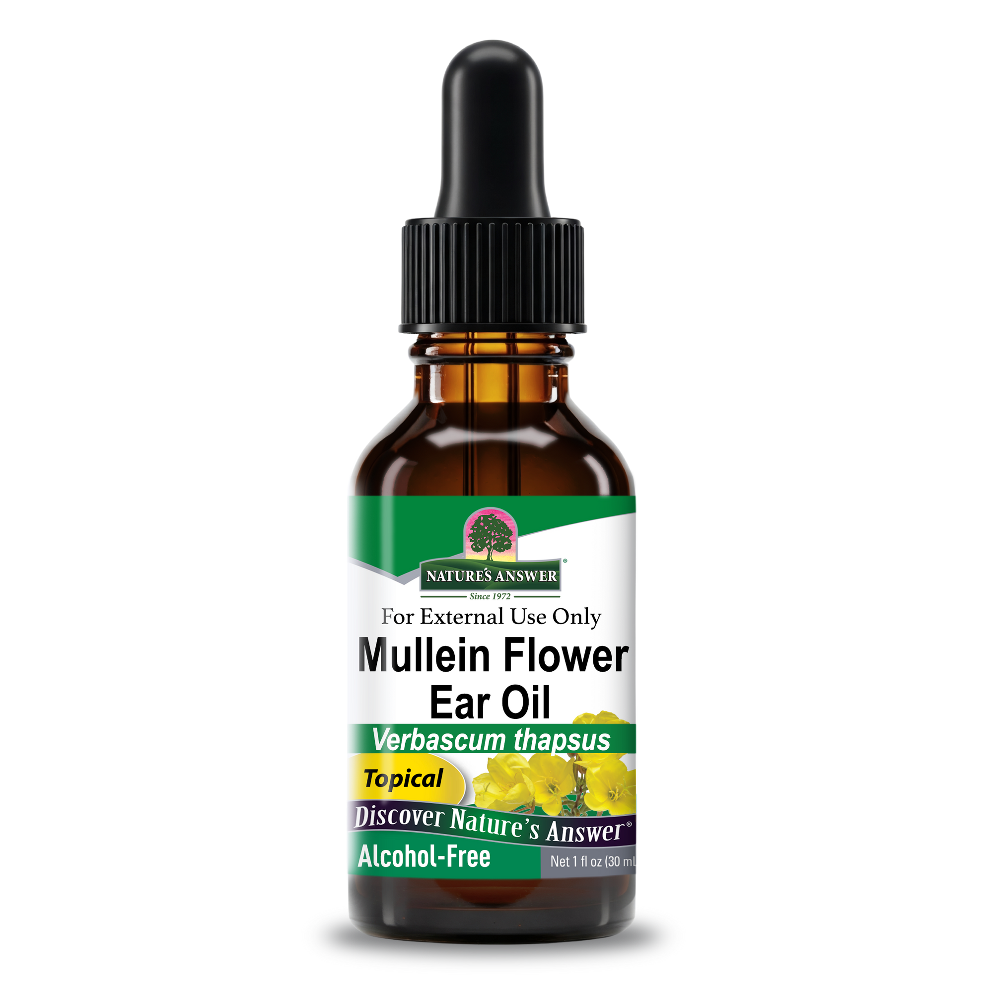 Mullein Flower Ear Oil - Liquid