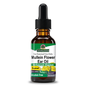 Mullein Flower Ear Oil - Liquid
