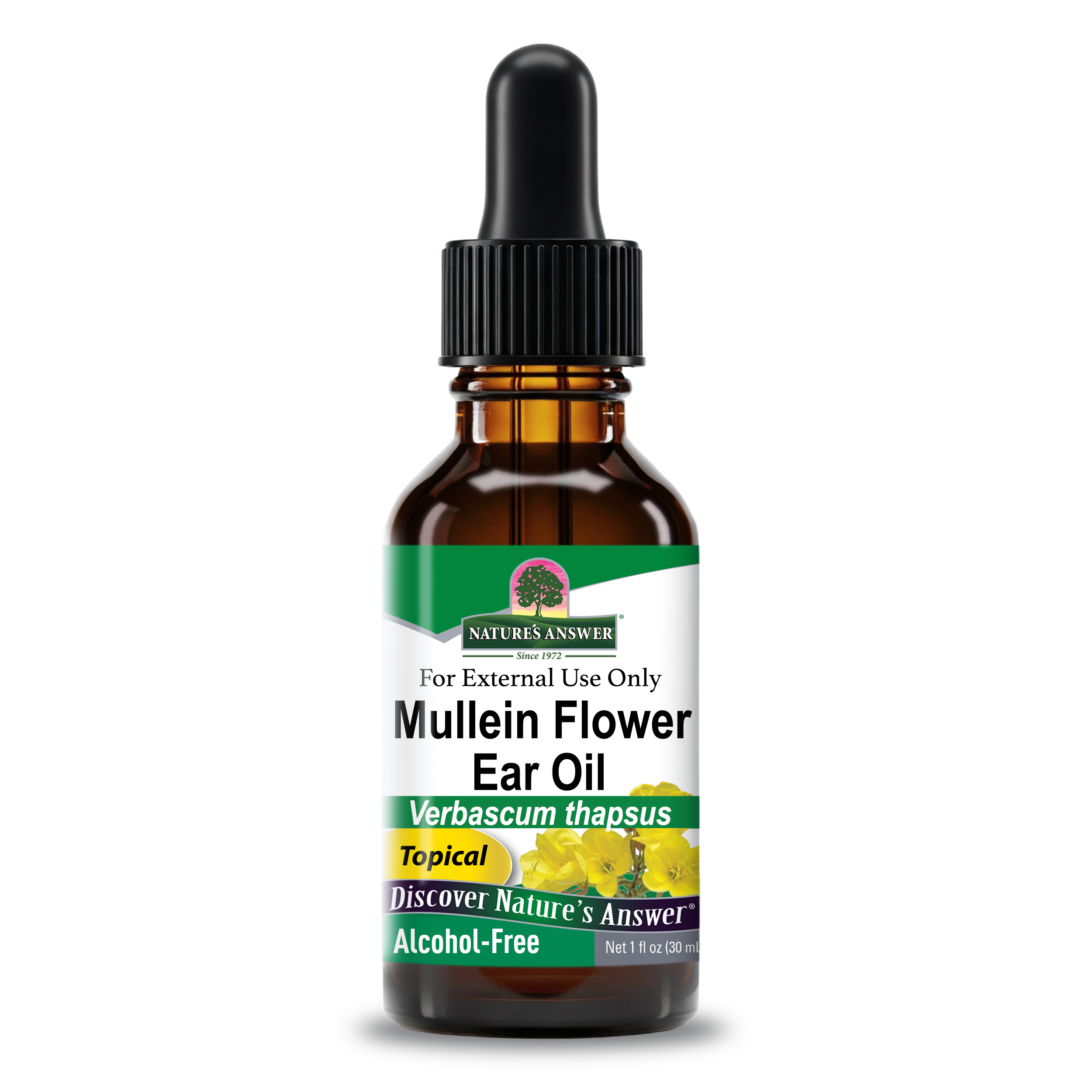 Mullein Flower Ear Oil - Liquid
