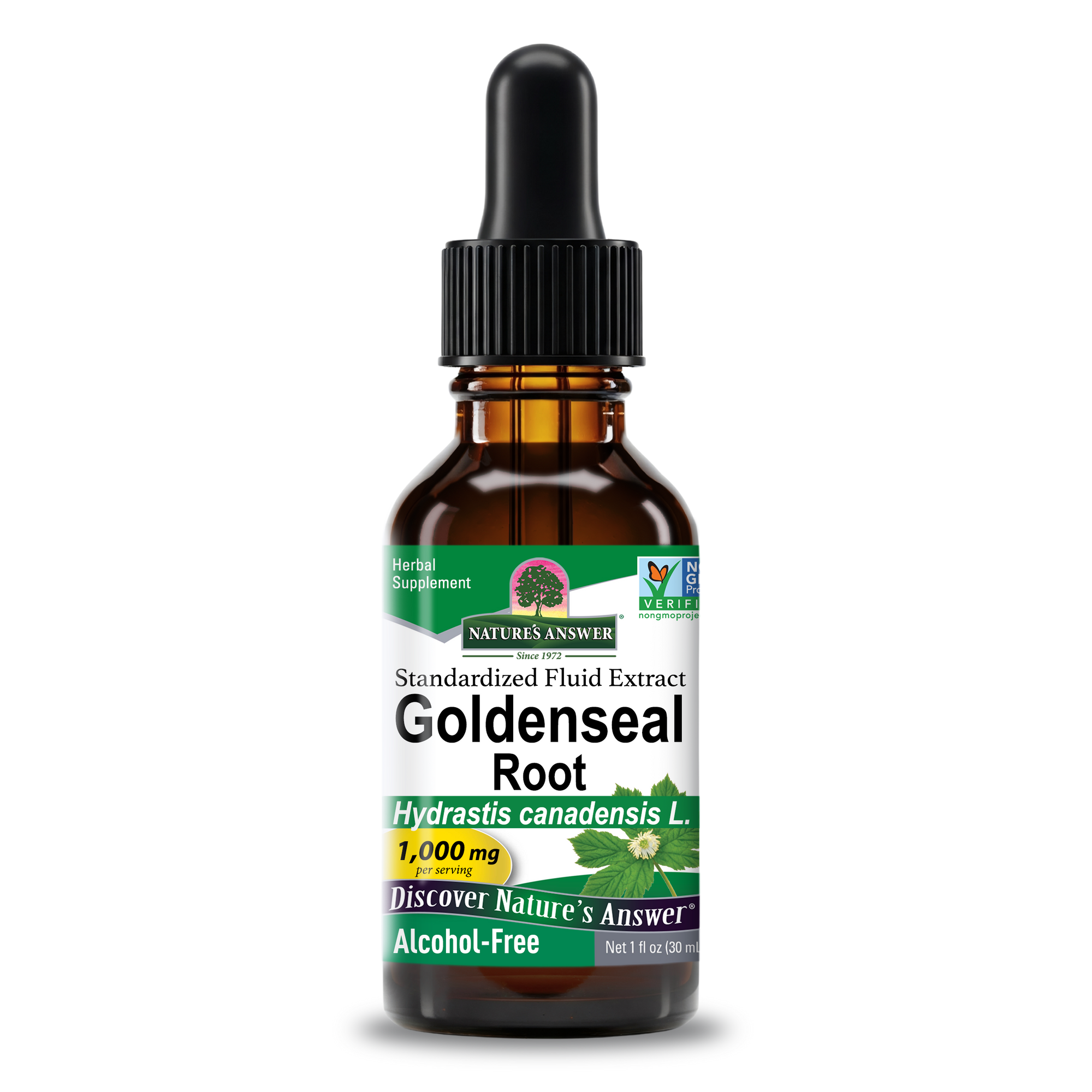 Goldenseal Extract - Alcohol Free Liquid