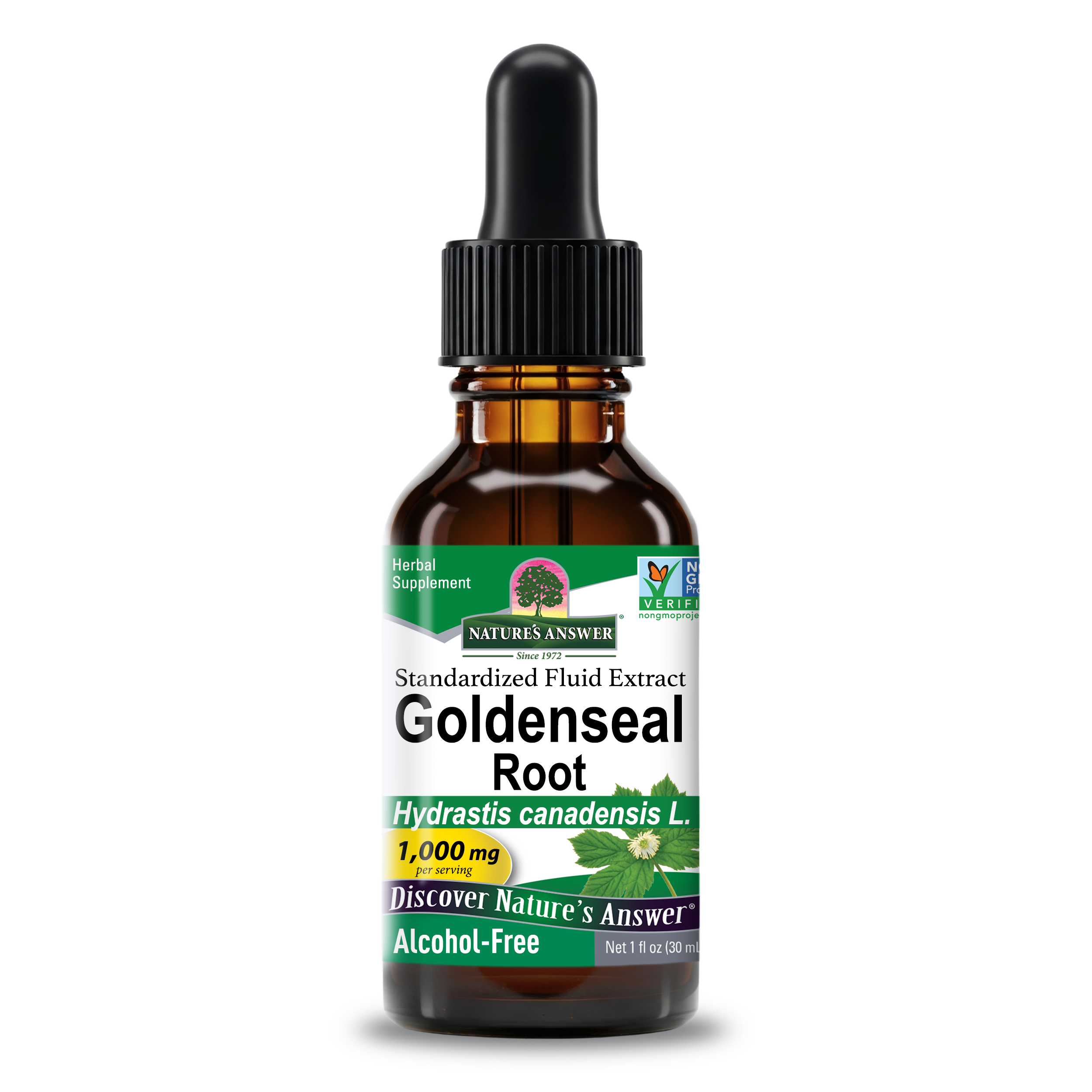 Goldenseal Extract - Alcohol Free Liquid