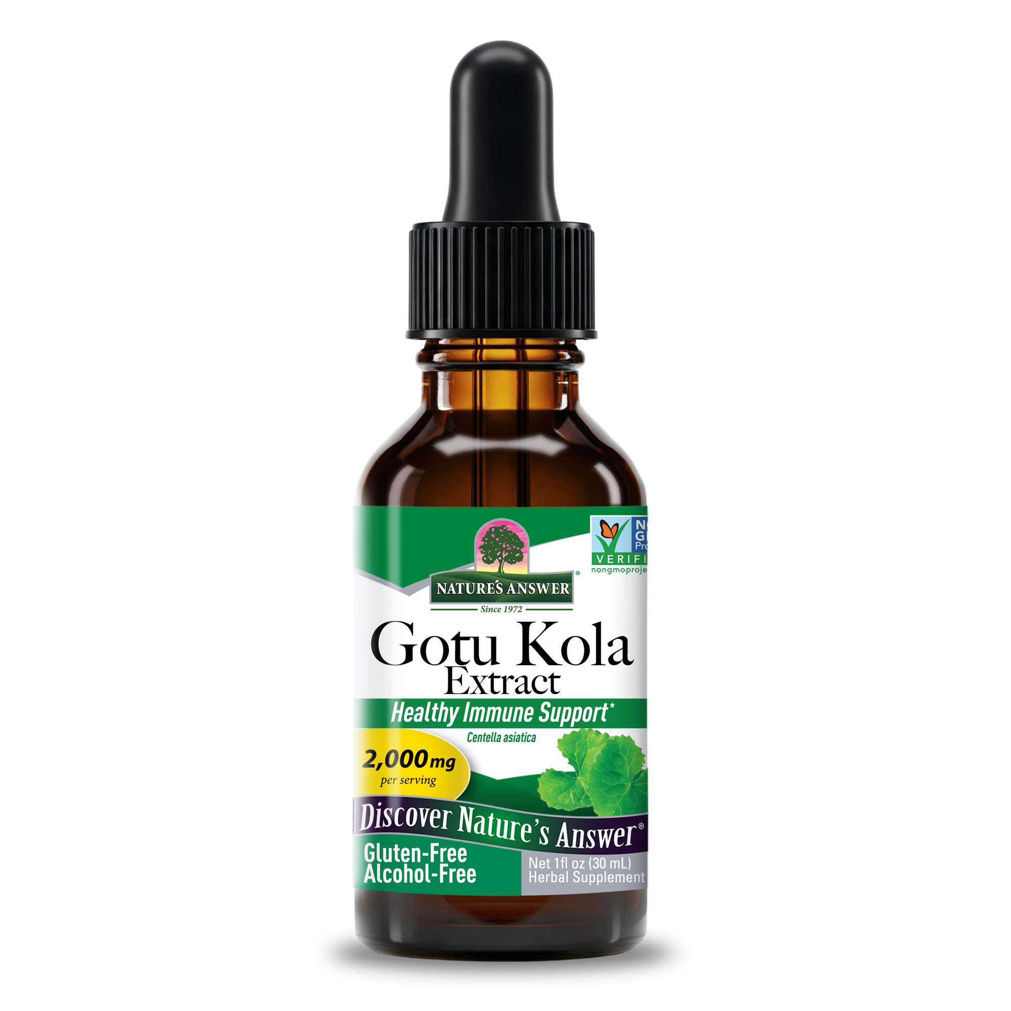 Gotu Kola Extract - Alcohol Free Liquid