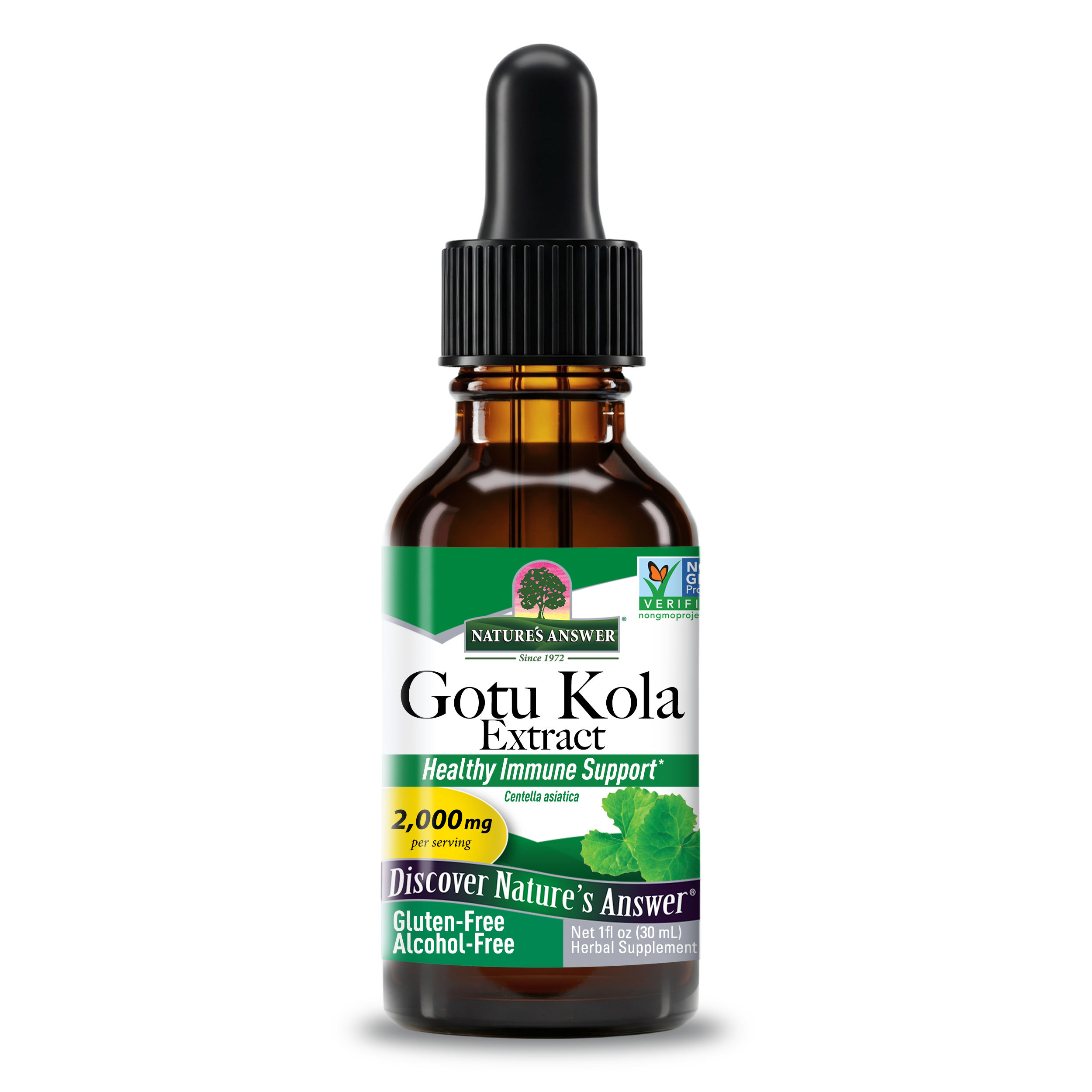 Gotu Kola Extract - Alcohol Free Liquid