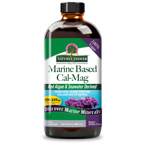 Marine Based Calcium Magnesium 500/250 - Alcohol Free Liquid