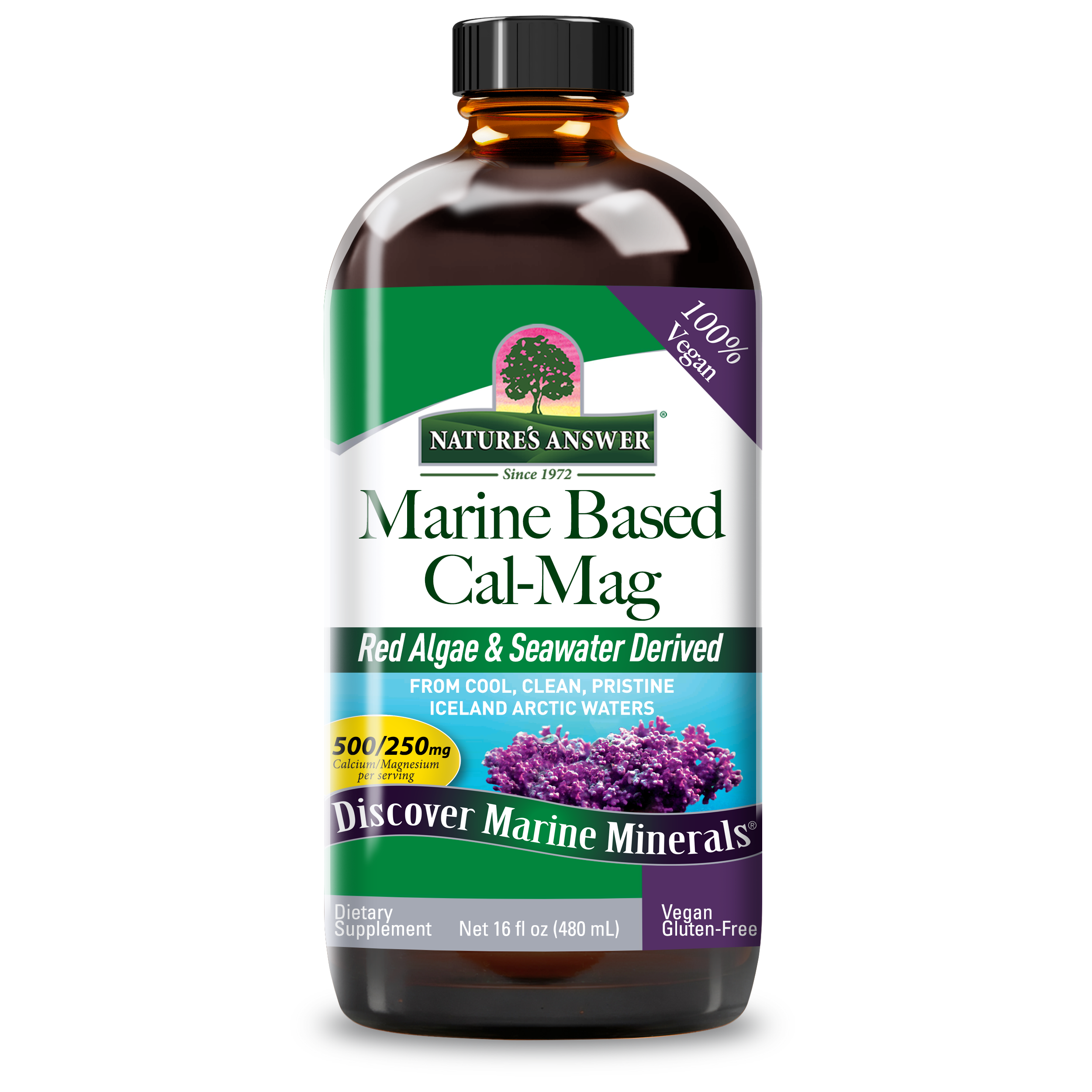 Marine Based Calcium Magnesium 500/250 - Alcohol Free Liquid