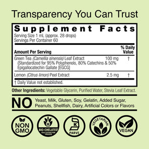 Super Green Tea Extract - Alcohol Free Liquid