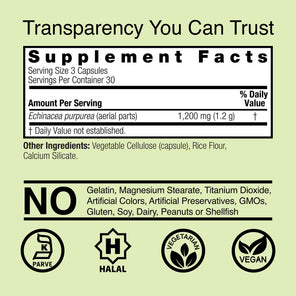 Echinacea Herb - Veggie Capsules