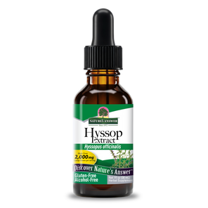 Hyssop Extract - Alcohol Free Liquid