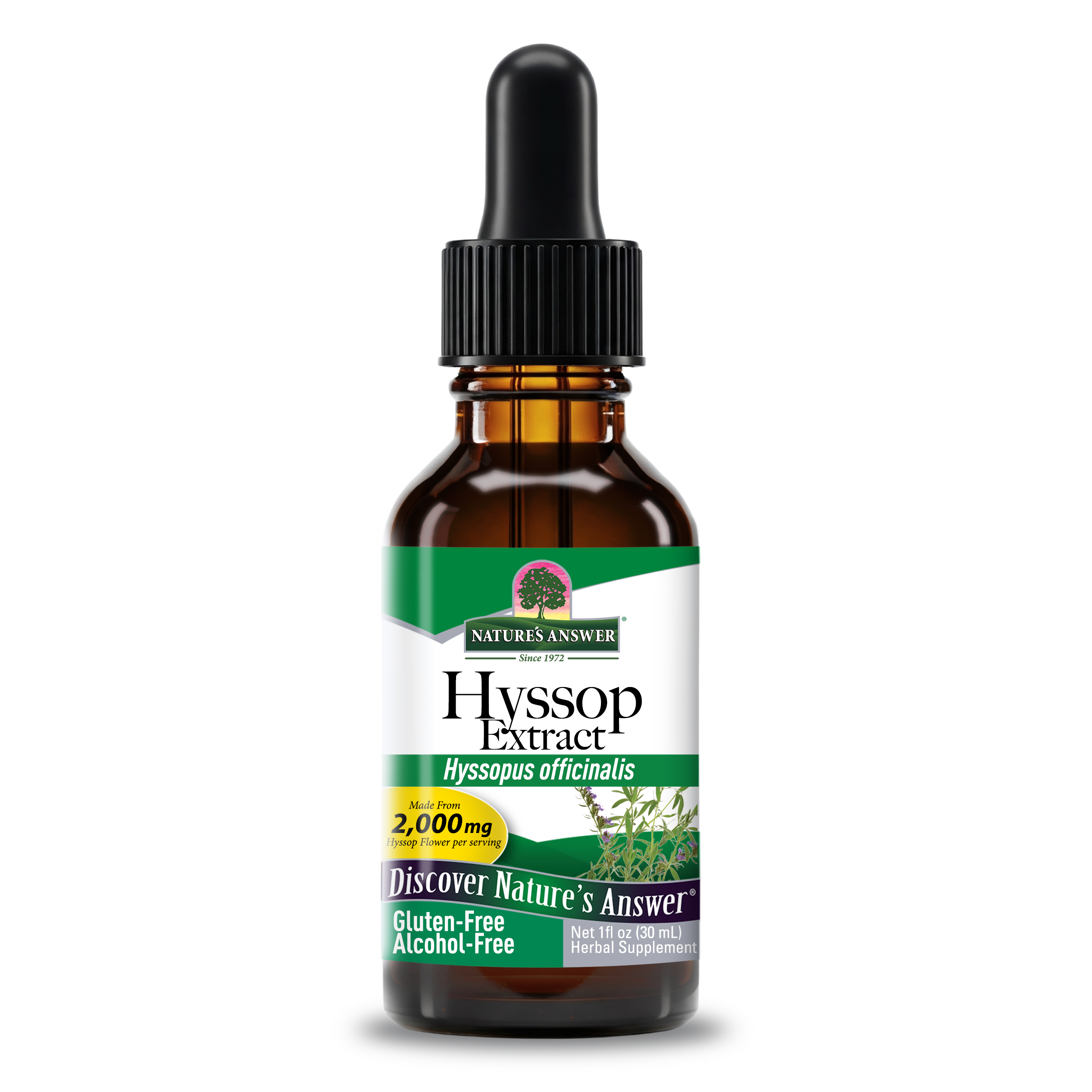 Hyssop Extract - Alcohol Free Liquid