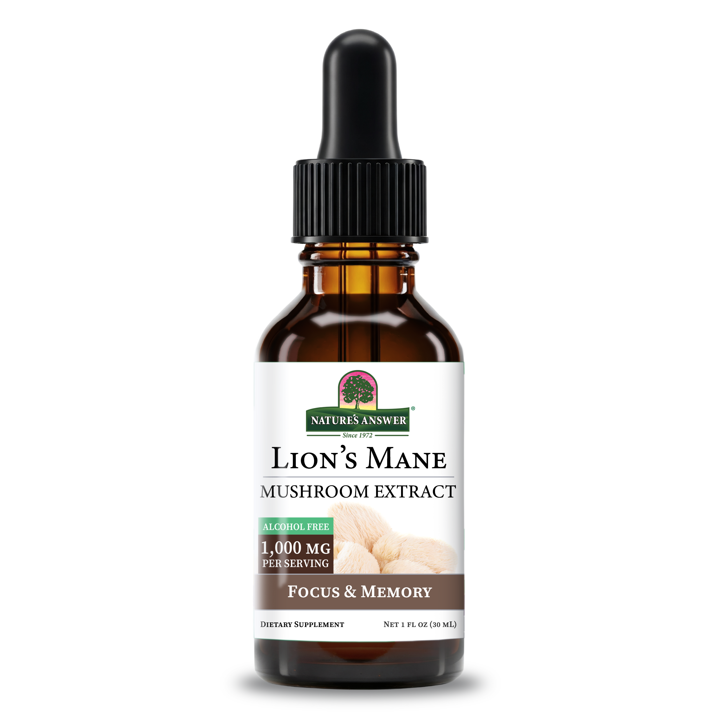 Lion's Mane Extract - Alcohol Free Liquid