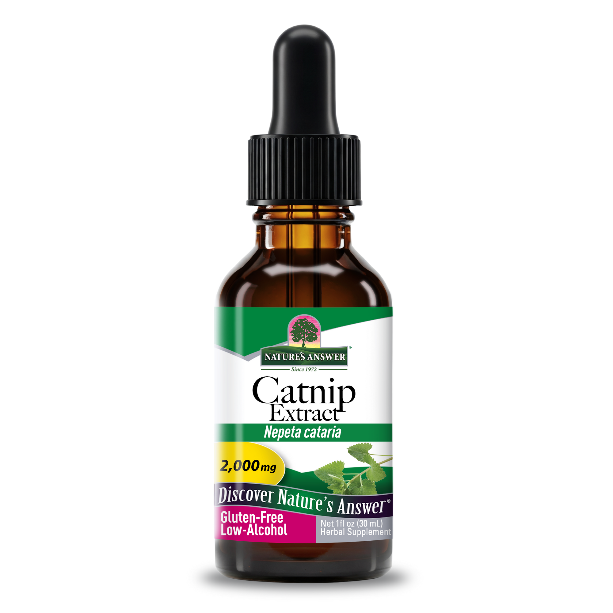 Catnip Extract - Low Alcohol Liquid