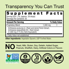 Echinacea Extract - Alcohol Free Liquid