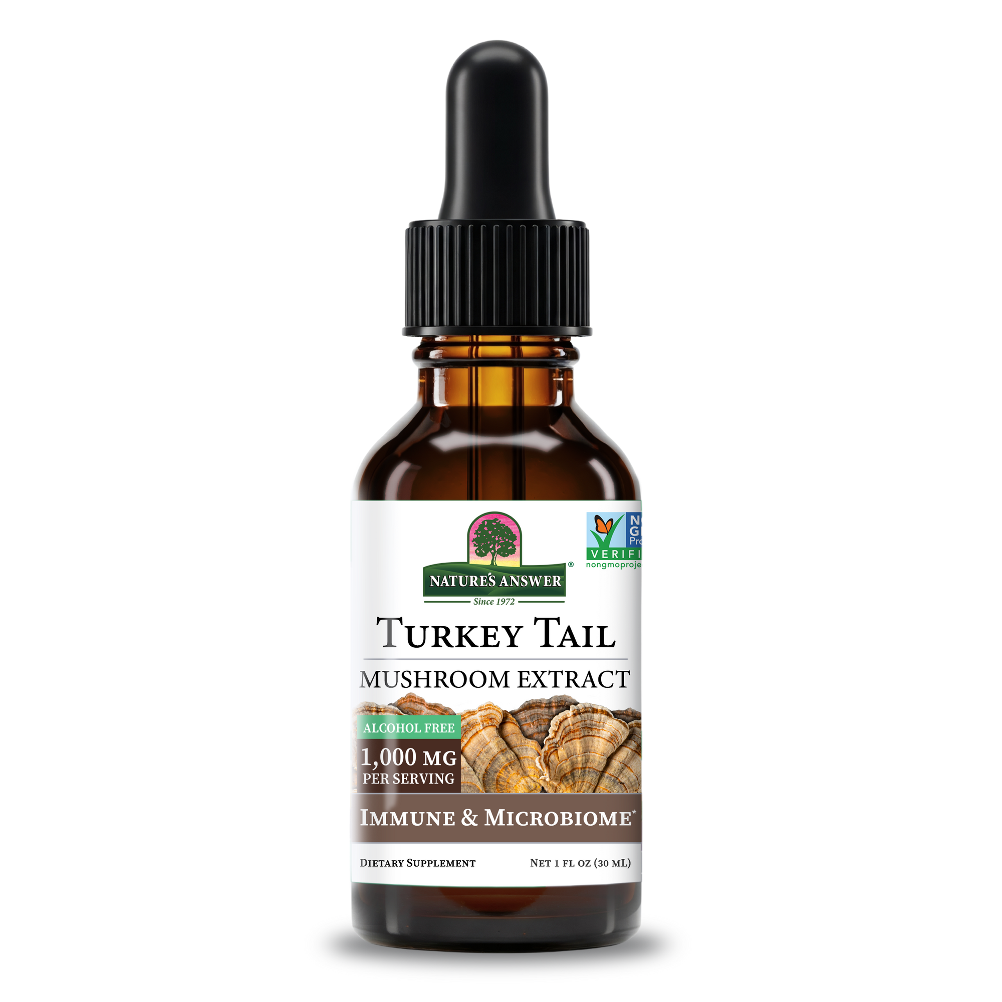 Turkey Tail Extract - Alcohol Free Liquid