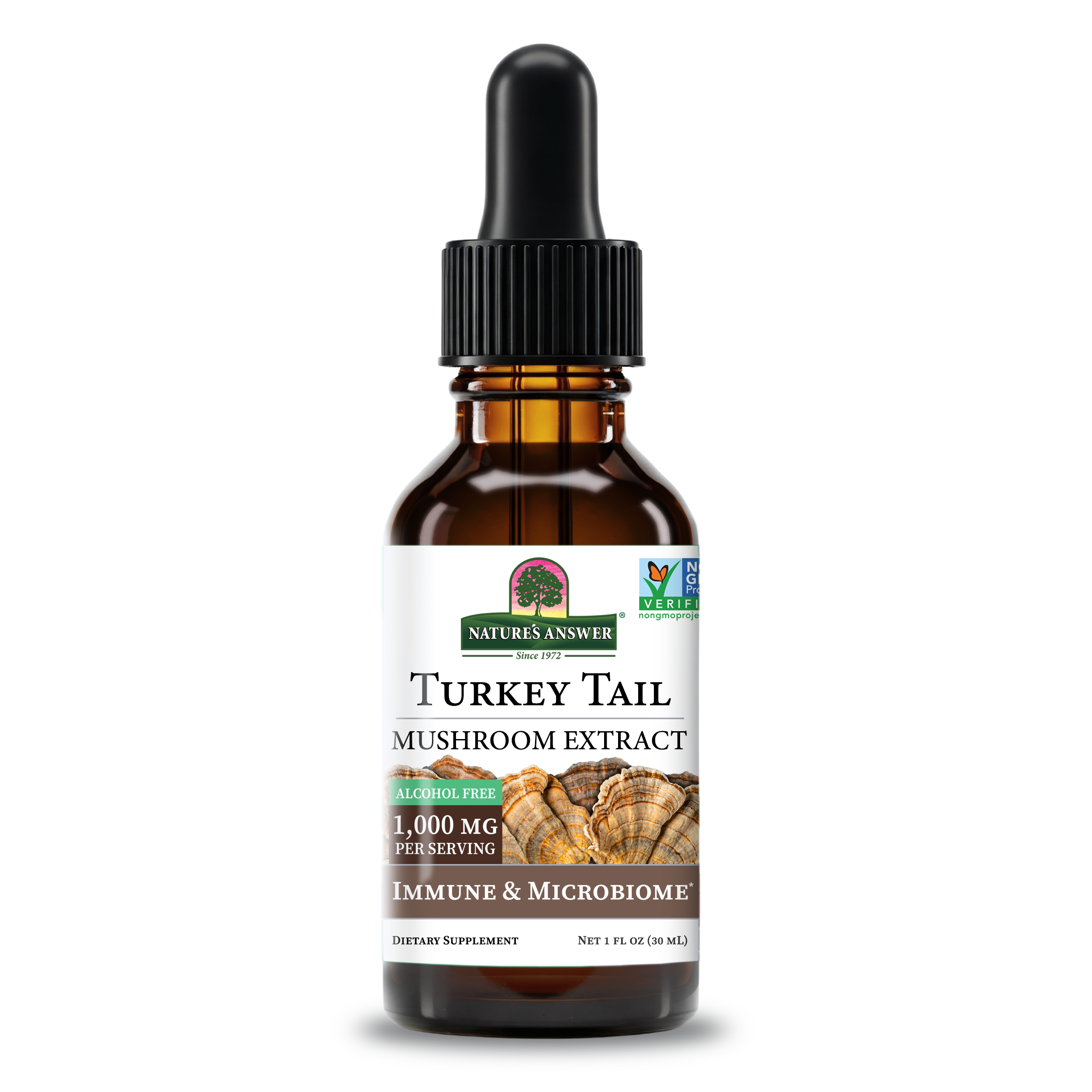 Turkey Tail Extract - Alcohol Free Liquid