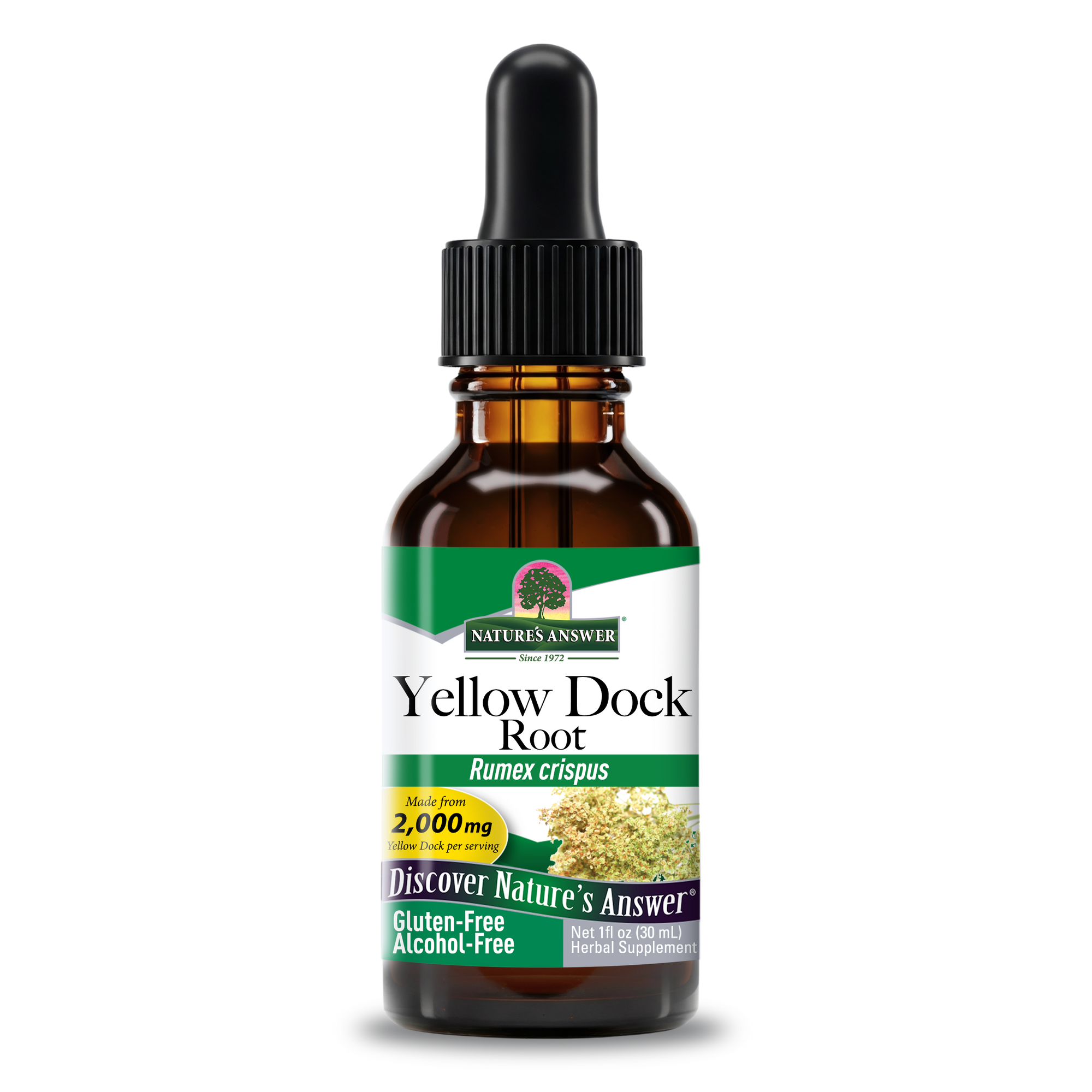 Yellow Dock Extract - Alcohol Free Liquid