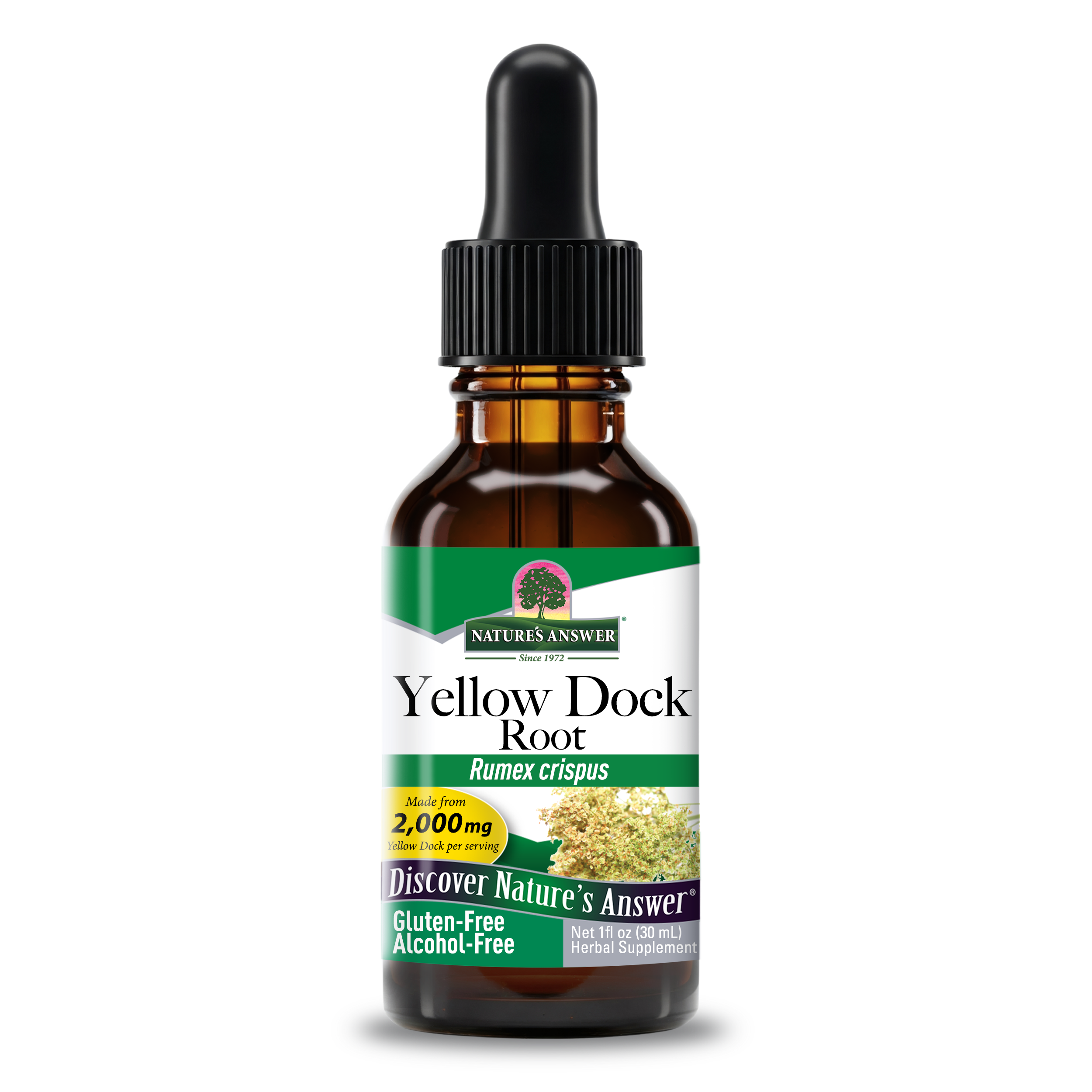 Yellow Dock Extract - Alcohol Free Liquid