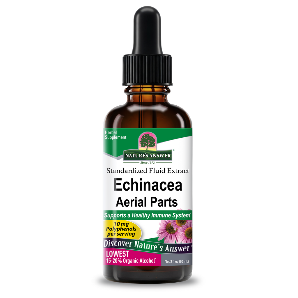 Echinacea Aerial Parts - Low Alcohol Liquid