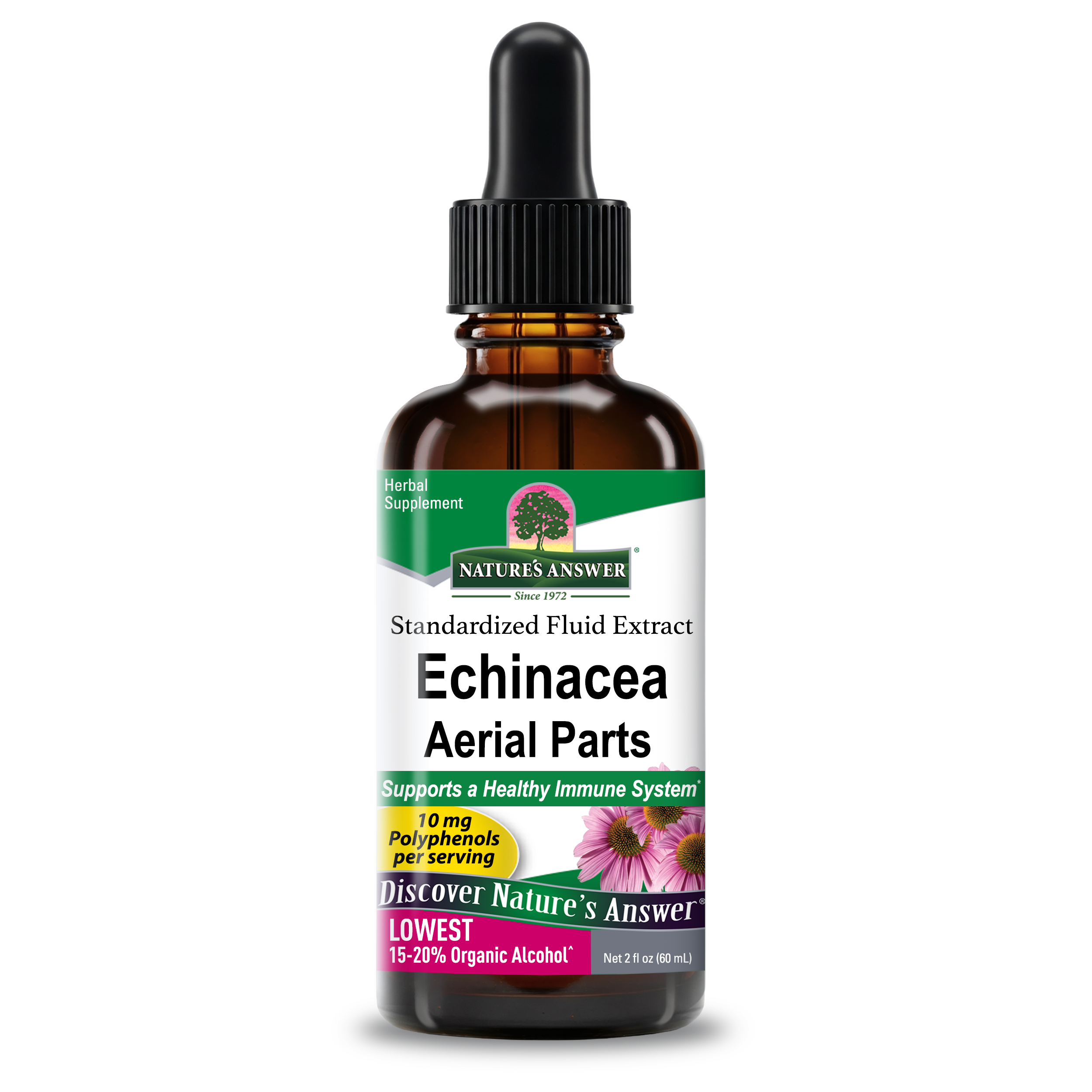 Echinacea Aerial Parts - Low Alcohol Liquid