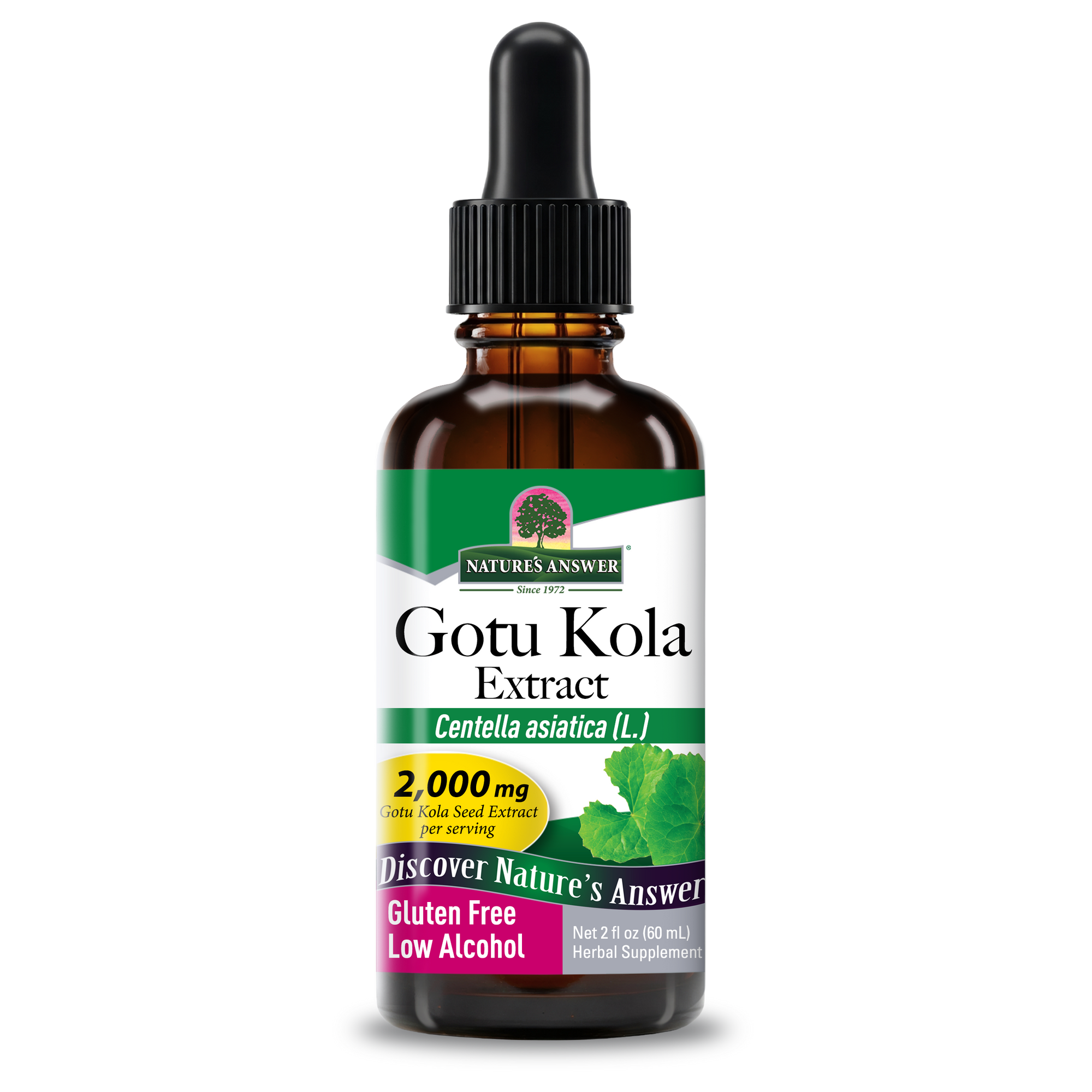 Gotu Kola Extract - Low Alcohol Liquid