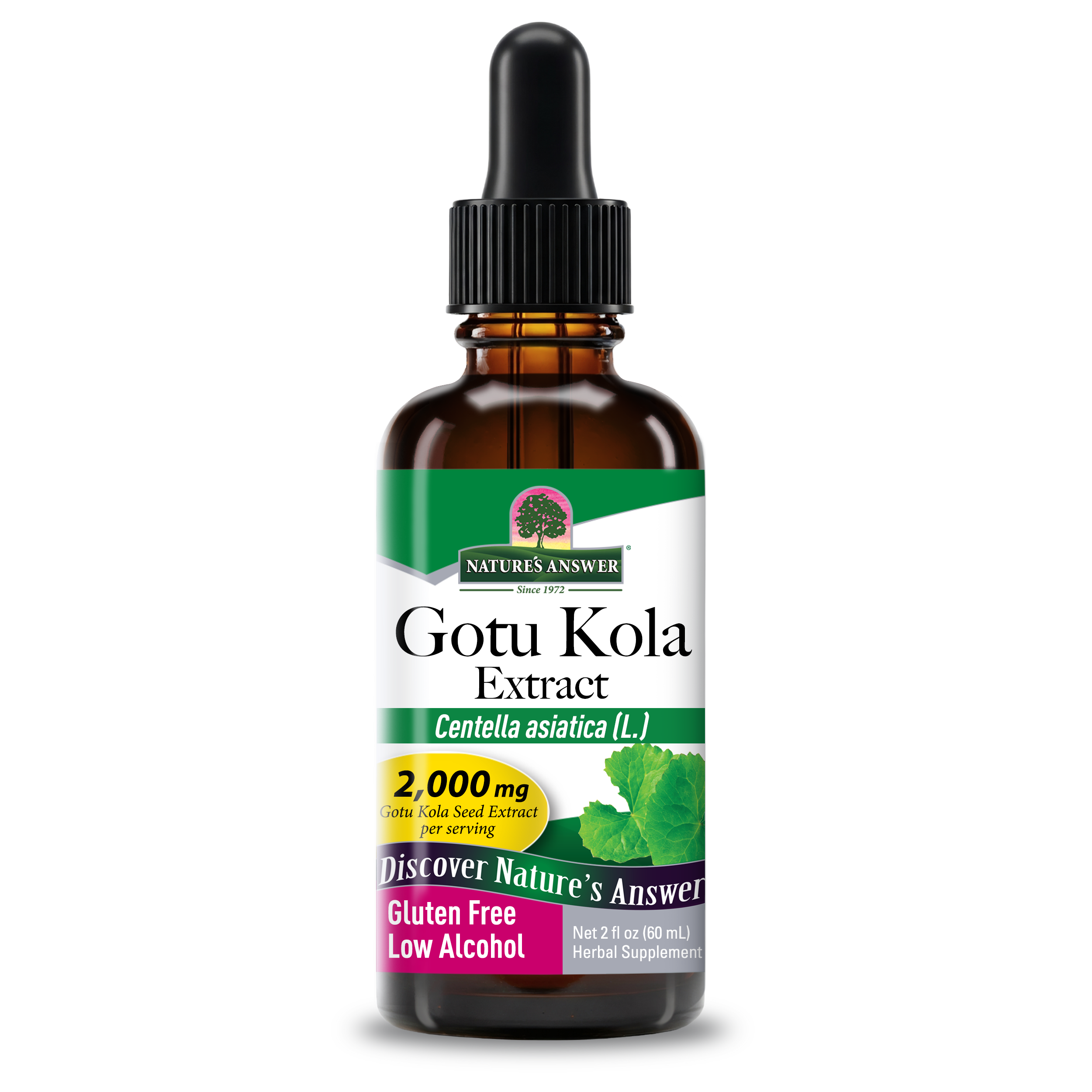 Gotu Kola Extract - Low Alcohol Liquid