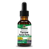 Yarrow Extract - Alcohol Free Liquid