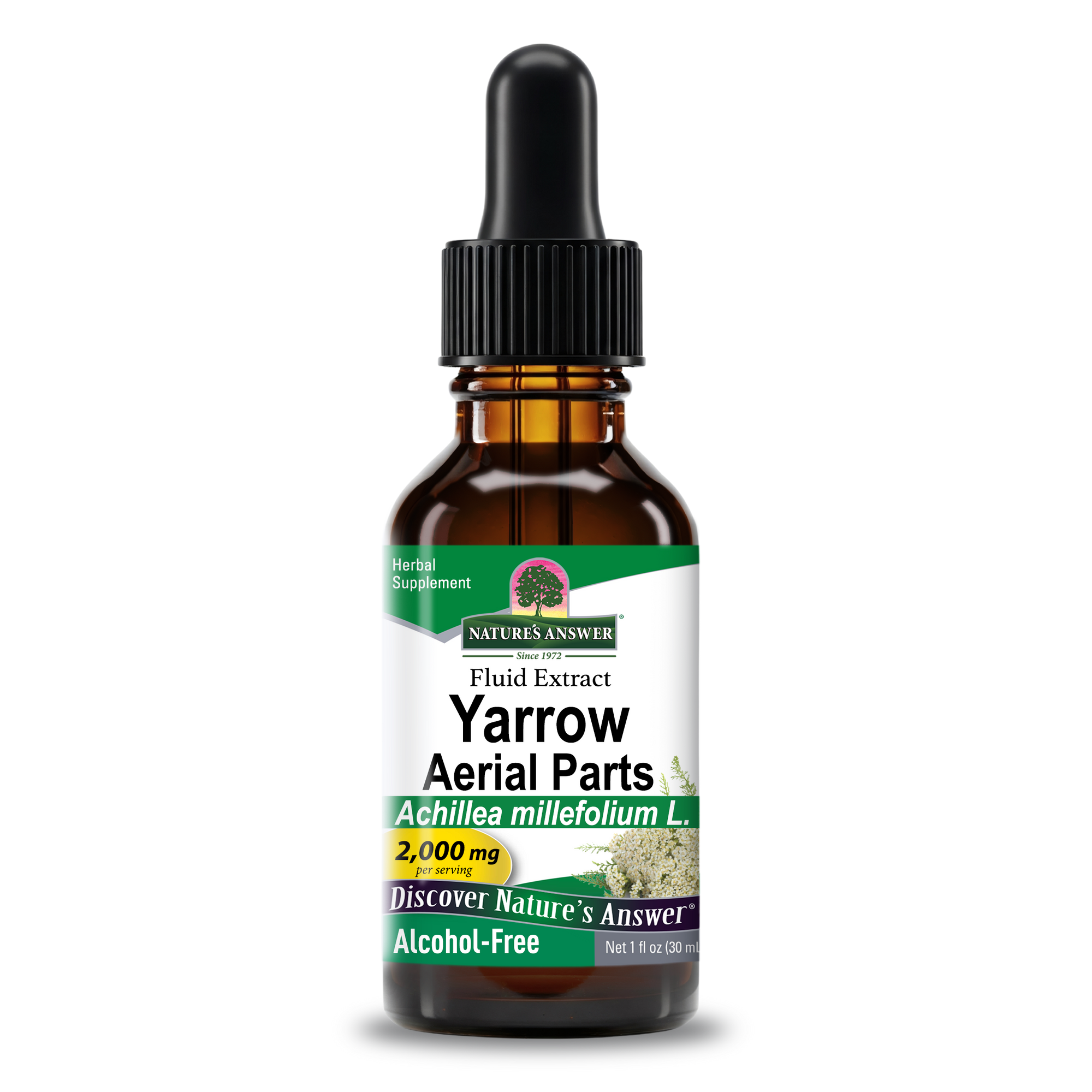 Yarrow Extract - Alcohol Free Liquid